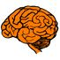Hjerne Orange