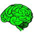 Hjernen lys grøn