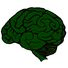 Hjernen Grøn